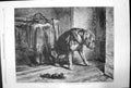 Antique Old Print Suspense Sir E Landseer South Kensington Museum Dog 1861 19th