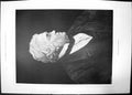 Antique Old Print William Makepeace Thackeray 1891 Man Glasses Suit Bow Tie