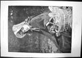 Antique Old Print Chickens 1891 Gadsby Suffolk Street Exhibition Girl Basket