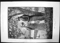 Antique Old Print Her First Offer Brewtnall 1881 Woman Trees Swans Proposal