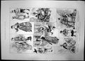 Antique Old Print Sketches Carmen Up To Data Gaiety Theatre 1890 Jose Dance