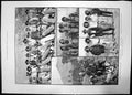 Antique Old Print Sketches North Queensland 1890 Police Labourers Young Men