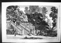Antique Old Print Terrace At Haddon Dodgson 1859 Steps Dog Trees Exhibition