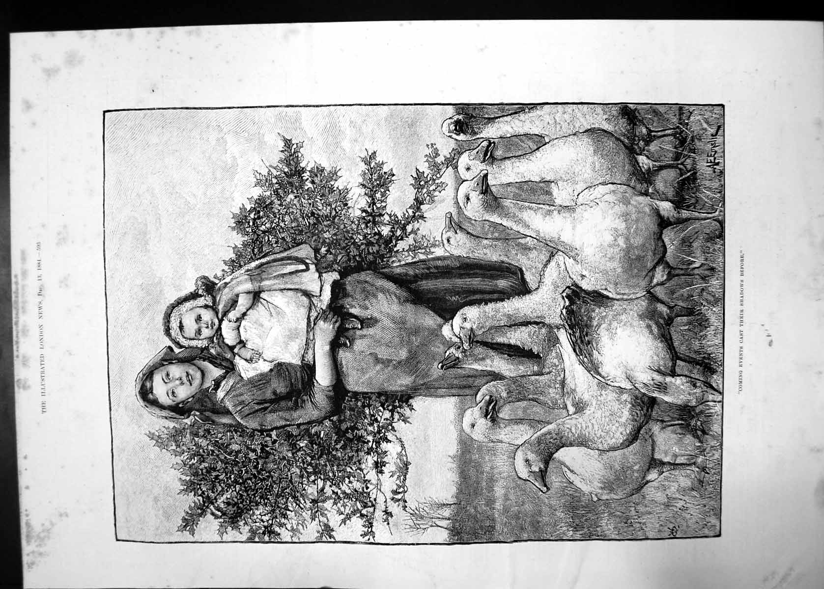 Old Antique Print Coming Events Cast Shadows Before Woman Baby Geese 1884 19th