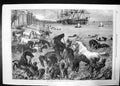 Old Antique Print Horses Morning Bath At Calcutta 1868 Sea Boat Men Women 19th