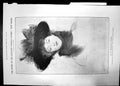 Antique Old Print Mademoiselle Fourton Greatest French Etcher New Series 1907