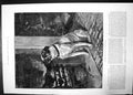 Antique Old Print Pleasures Hope Harrison 1881 Canine Dog Mastiff Portrait 19th