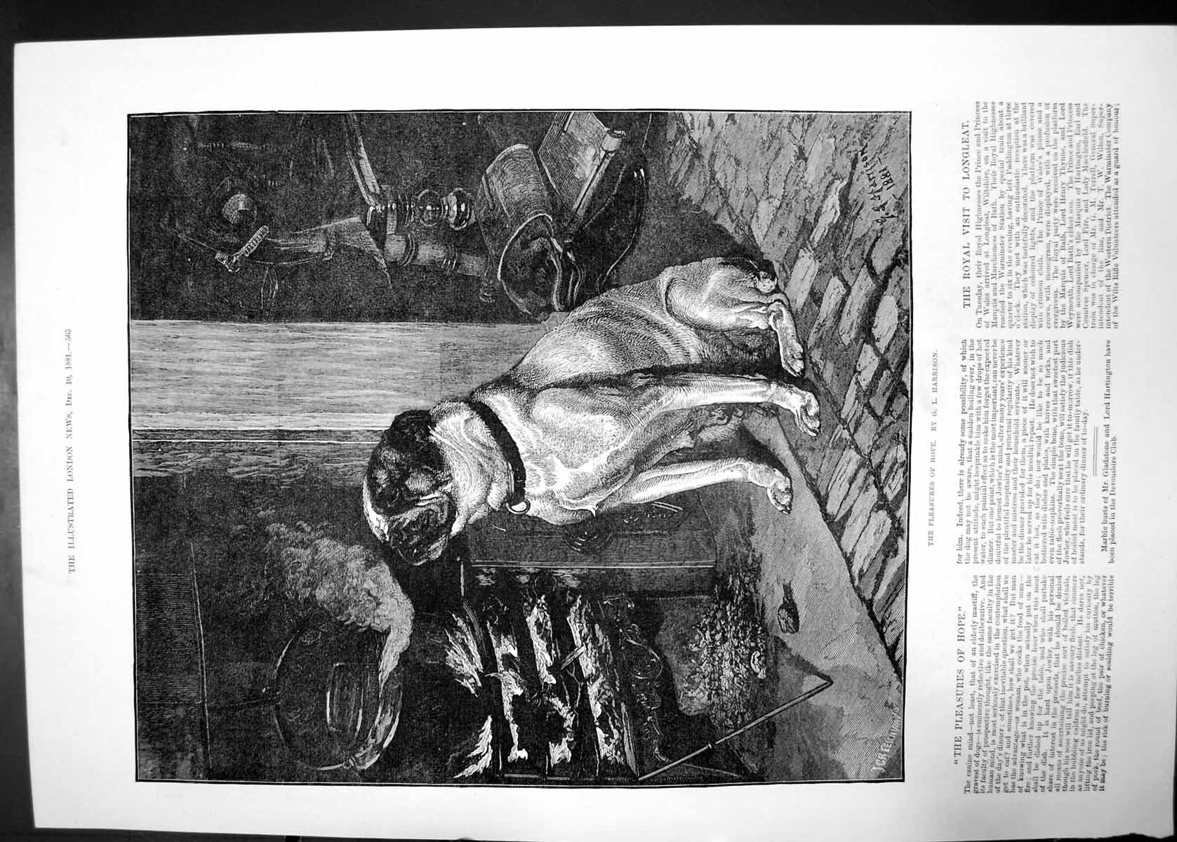 Antique Old Print Pleasures Hope Harrison 1881 Canine Dog Mastiff Portrait 19th