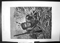 Original Old Antique Print Zulu Scout 1879 Warrior Gun Bullets Grass Woodville