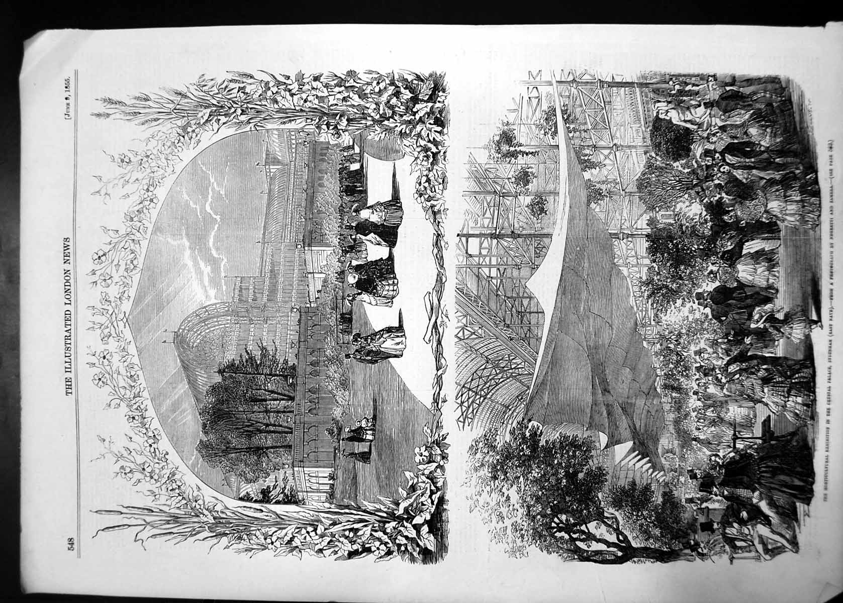 Old Antique Print Horticultural Exhibition Crystal Palace Sydenham 1855 19th