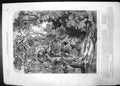 Antique Old Print Belted Wills Tower Naworth 1855 Trees Forest Rabbit Bennett