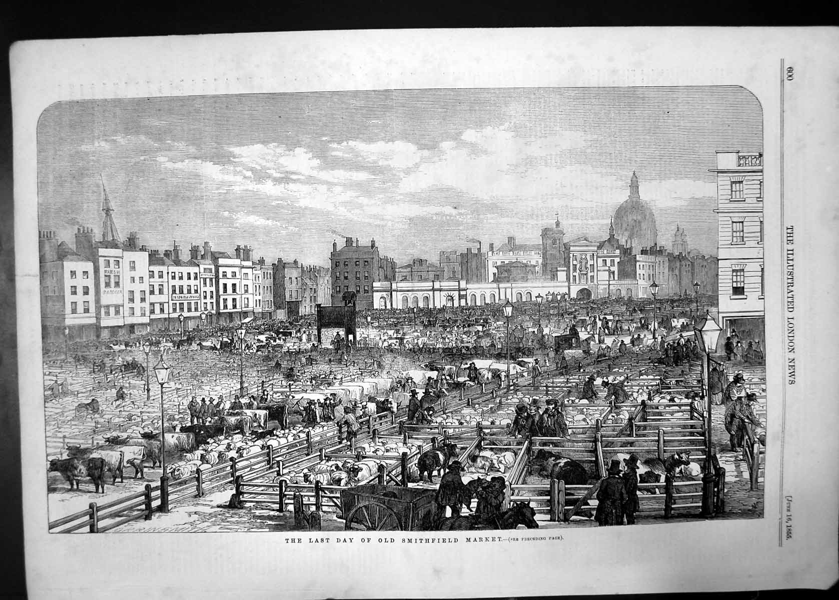 Old Antique Print Last Day Smithfield Market 1855 Sheep Cows Town Auction 19th