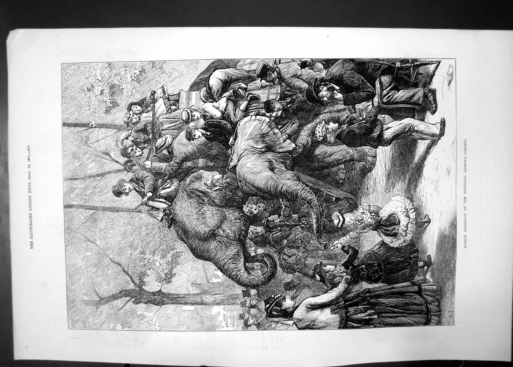Antique Old Print Monday Afternoon Zoological Gardens Society Elephants 1871