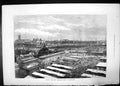 Antique Old Print Royal Agricultural Society Wolverhampton 1887 Show Ground