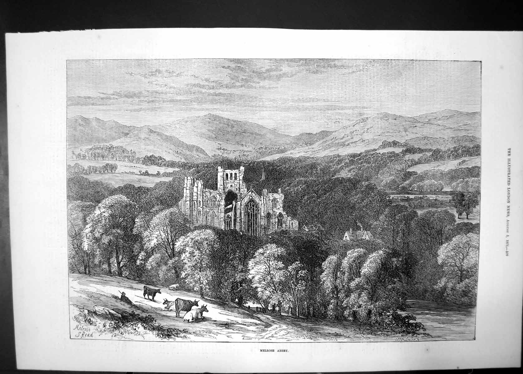 Original Old Antique Print Melrose Abbey 1871 Cattle Trees Hills Castle 19th
