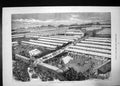 Antique Old Print Irish Royal Agricultural Society Show At Dublin 1871 Ground