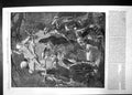 Old Antique Print Outrage On Sir John Coventry Maguire 1860 Battle Fight 19th