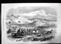 Original Old Antique Print Hunting Guanacoes In Patagonia 1869 Horses Dogs 19th