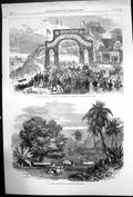 Original Old Antique Print Marquis Bute Rothesay Cooks Tamarindtree Tahiti 1868