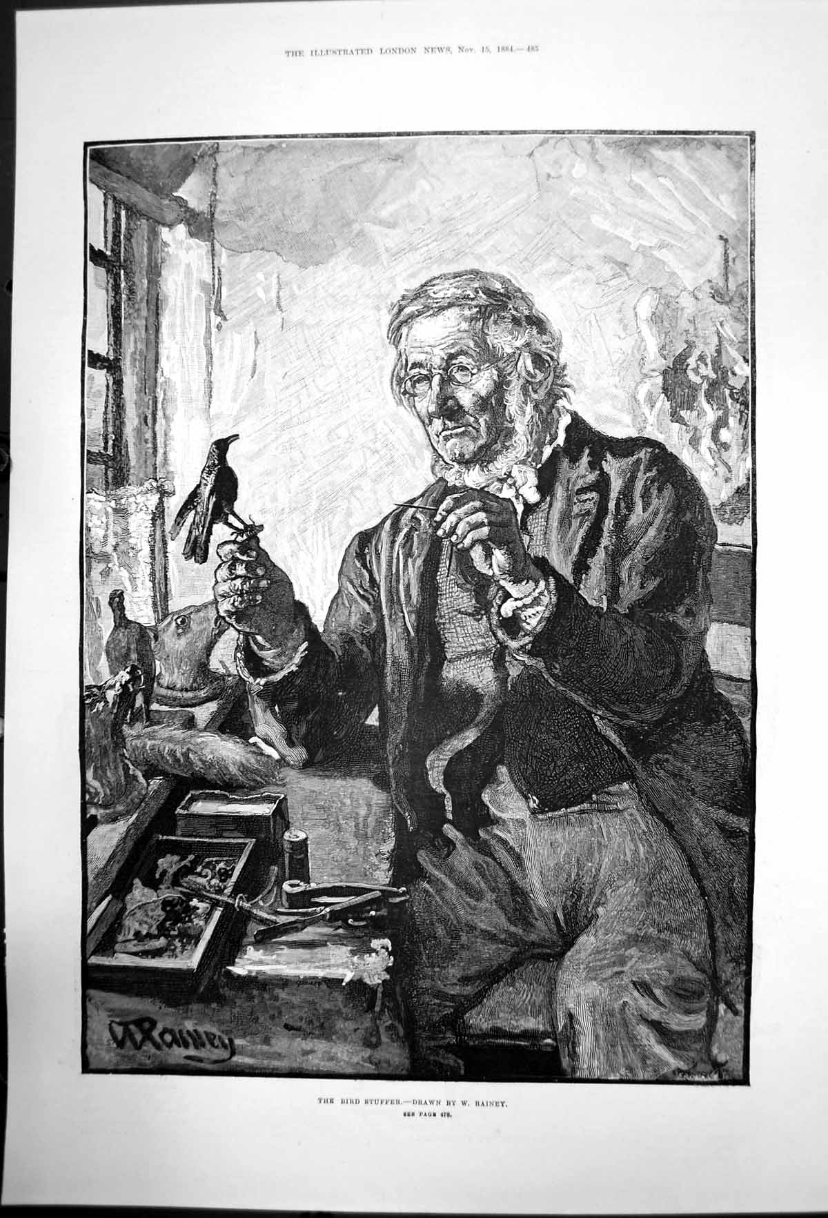Original Old Antique Print The Bird Stuffer W Rainey Man Hing Bird 1884 19th