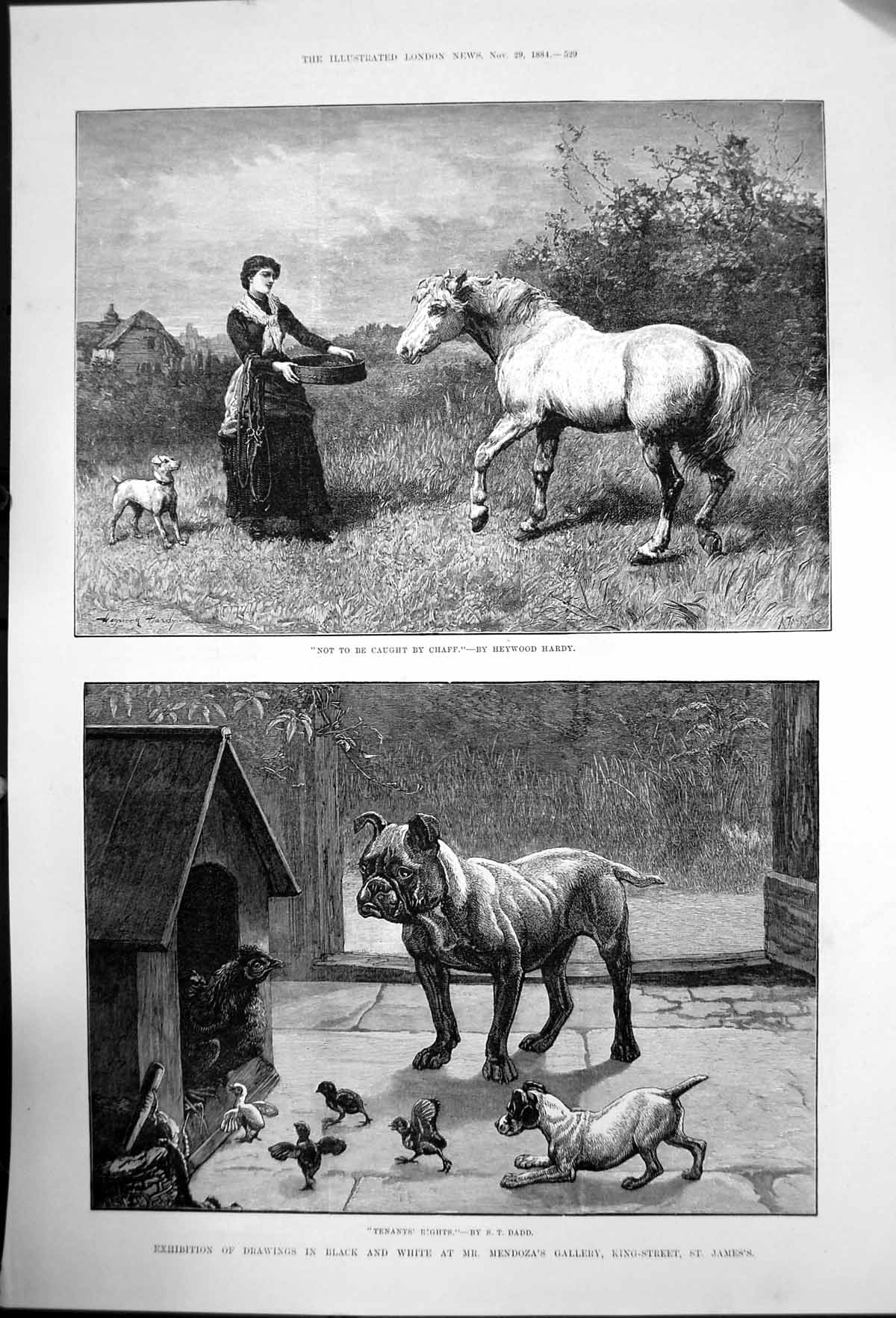 Antique Print Not To Be Gaught By Chaff H Hardy Tenants Rights S Dadd 1884 19th