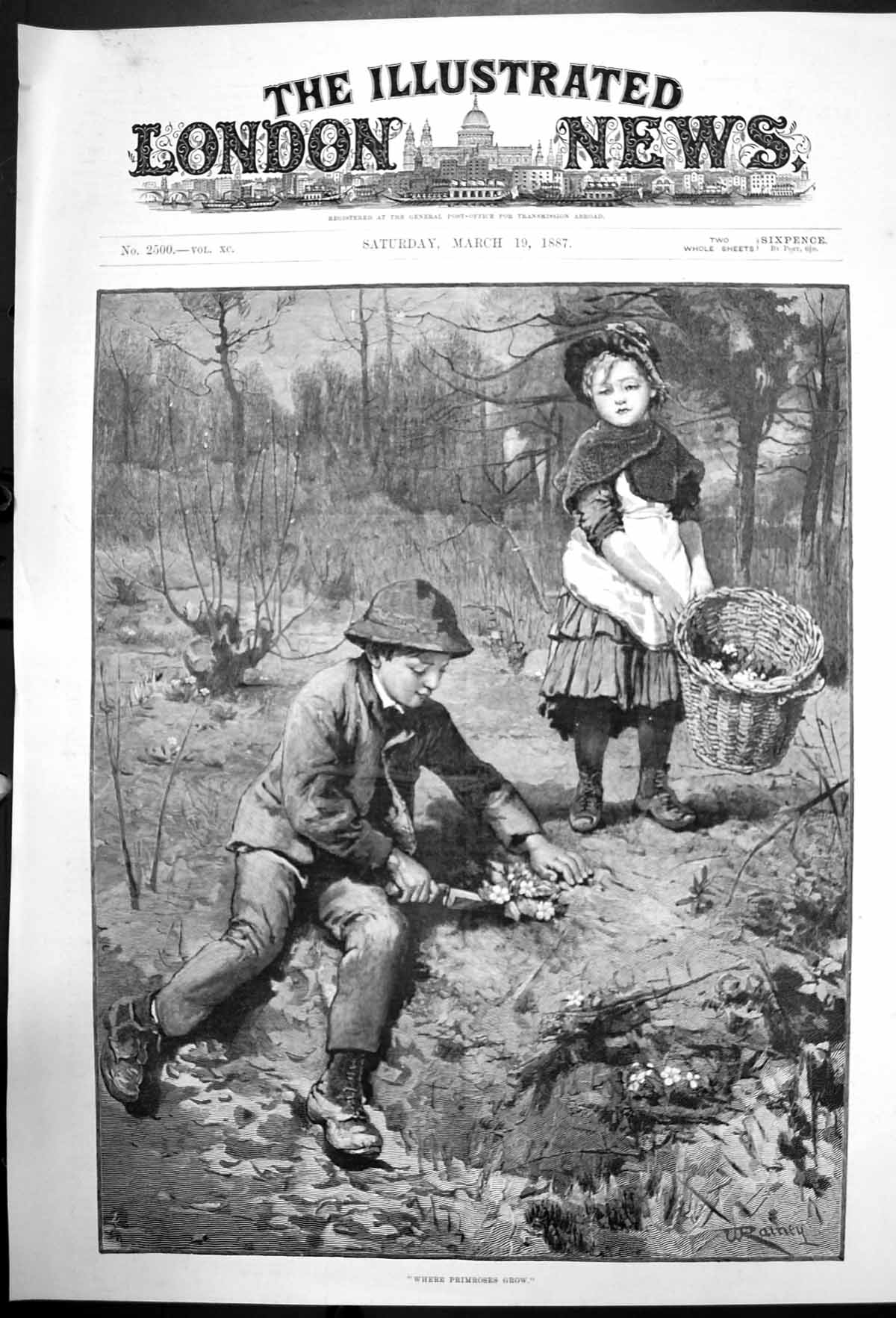 Old Antique Print Where Primroses Grow W Rainey Children Primroses 1887 19th