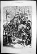 Original Old Antique Print Monday Afternoon Zoological Societys Gardens 1871