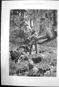 Old Antique Print Sier Ready To Shoot His Dying Horse Beside River 1891 19th