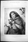 Original Old Antique Print The Youthful Botanist A Rotta Girl Hing Berries 1892