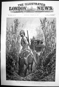 Old Antique Print Anglo Portuguese Boundary Commission South Africa 1892 19th