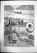 Old Sketches Newfoundland St Johns Harbour Cod Fishing Boat Sea 1898 Victorian