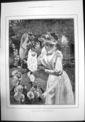 Old Print Butterfly Catching After Andre Brouillet Garden Woman Net 1892 19th