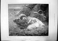 Antique Old Print Left In Charge Jf Marshall Child Dog Sleeping Farming 1898