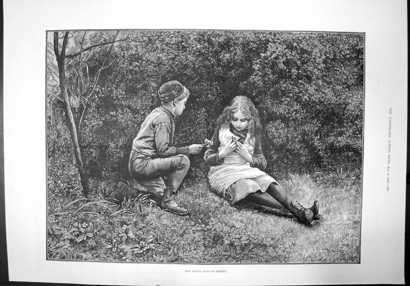 Antique Old Print The Happy Days Spring Sketch Children Picking Flowers 1890