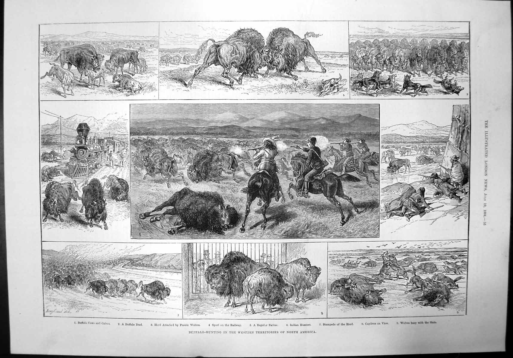Antique Print Buffalo Hunting In The Western Territories North America 1884