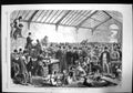 Antique Print Sale At Chelsea Vagrant Dogs Seized By The Police London 1868