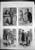 Antique Print Sketches At Zoological Gardens Messmates Birds Dogs Wool 1881