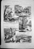 Old Antique Print Sketches Life In Queensland Man Kangaroo GMining 1884 19th