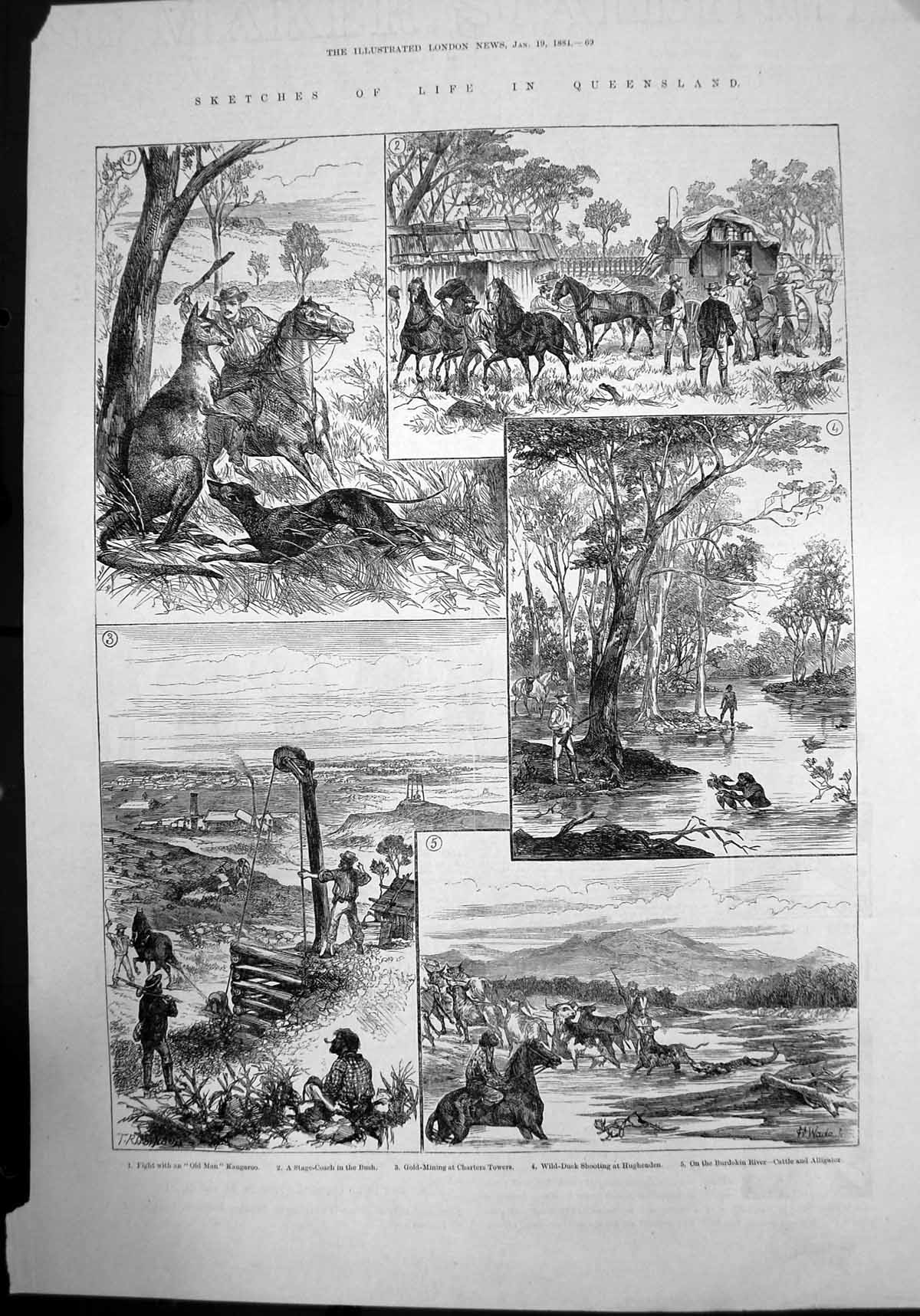 Old Antique Print Sketches Life In Queensland Man Kangaroo GMining 1884 19th
