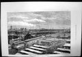 Antique Print Meeting The Royal Agricultural Society At Wolverhampton 1871 19th