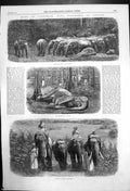 Original Old Antique Print Mode Capturing Wild Elephants In Ceylon 1864 19th