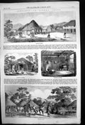 Old Waterloo Marketkitchennatives In Sherbo Village Sierra Leone 1856 Victorian
