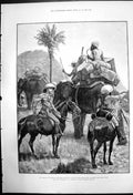 Old Print Mounted Infantry With Baggage Elephants Shan Hills Burmah 1887 19th