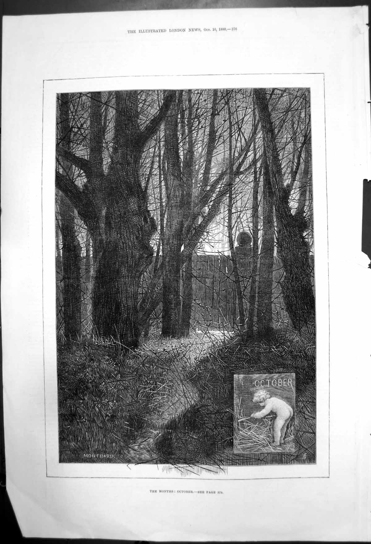 Original Old Antique Print The Months October Montbard Trees 1880 Victorian