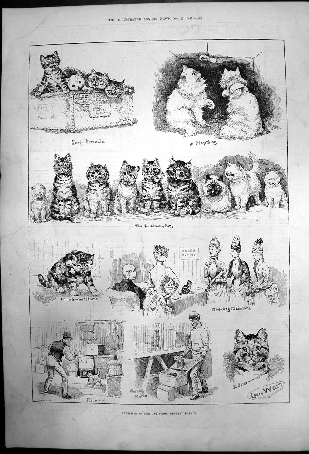 Original Old Antique Print Sketches At Cat Showcrystal Palace Louis Waio 1887
