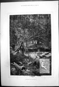 Original Old Antique Print The Months June Woodland Schene 1880 19th