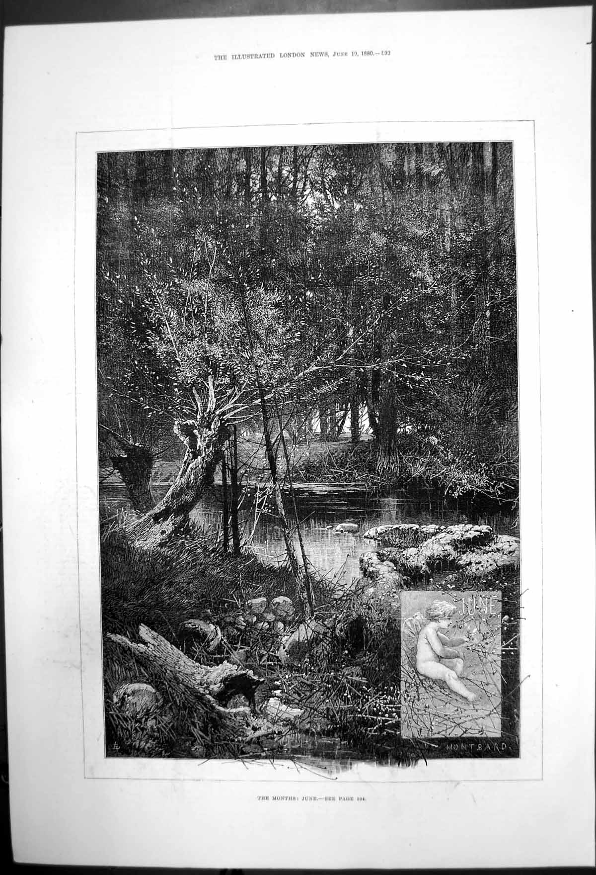 Original Old Antique Print The Months June Woodland Schene 1880 19th