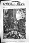 Original Old Antique Print King At Meeting Royal Geographical Society 1907 20th