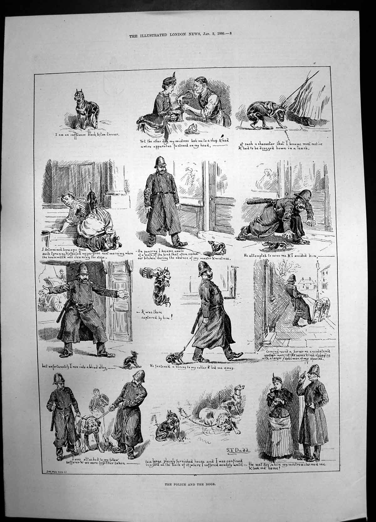 Antique Old Print Police And The Dogs Dadd 1886 Sketches Puppy Terrier Dog 19th