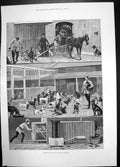Antique Print Sketches Dogs Home Battersea 1886 Stanley Berkley Horse Pens 19th
